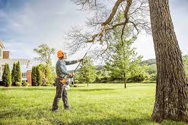 Best Tree Health Inspection  in Thousand Oaks, CA